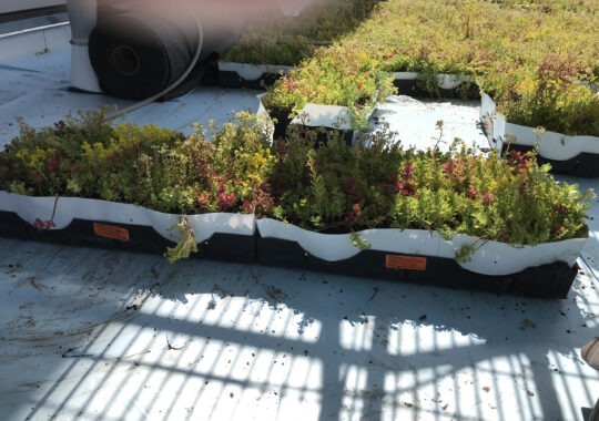 Rutgers – Weeks Hall Green Roof